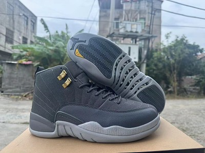 Men Jordan 12-201